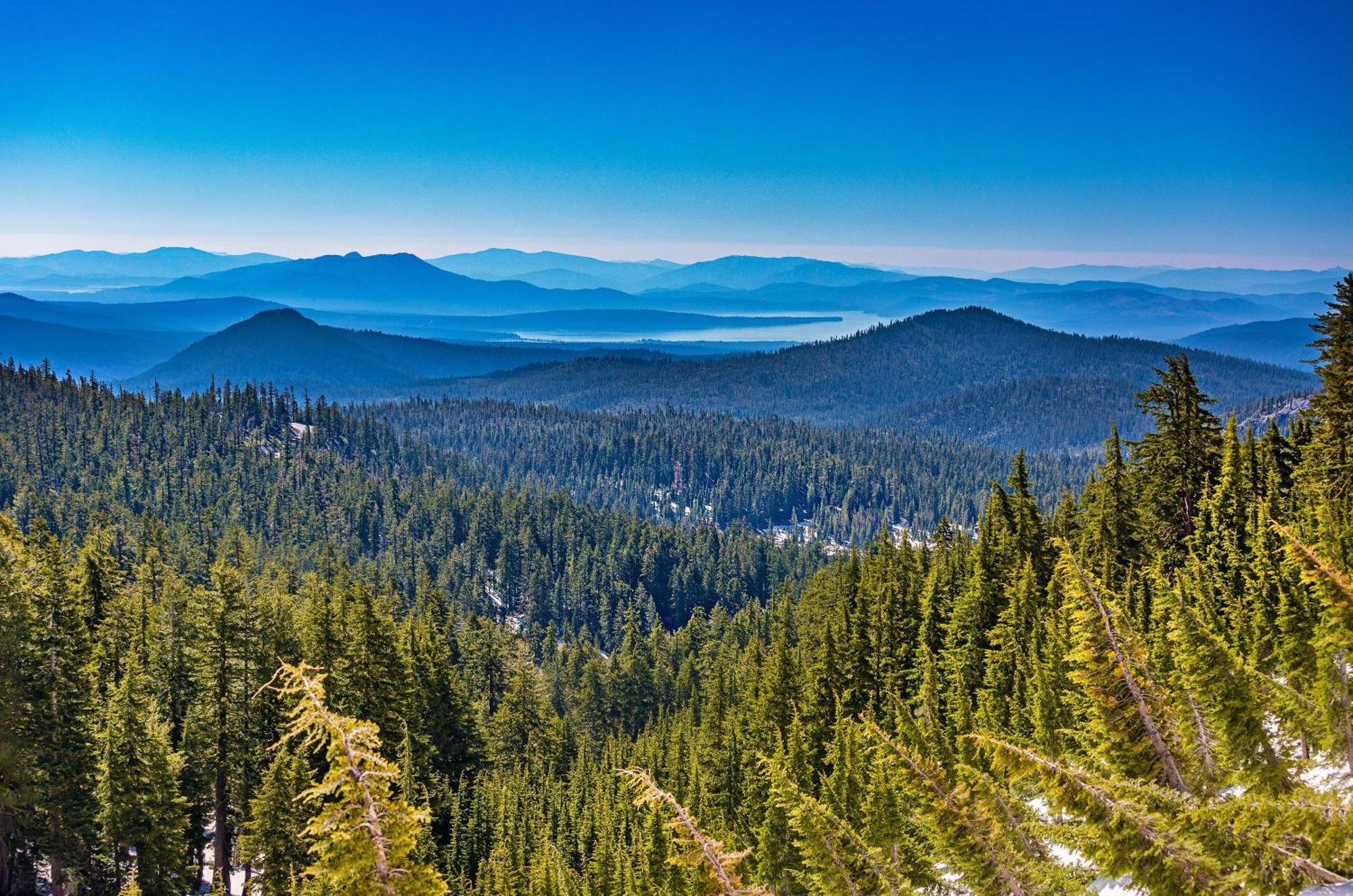 Camp Almanor At Big Springs Ξενοδοχείο Westwood Εξωτερικό φωτογραφία